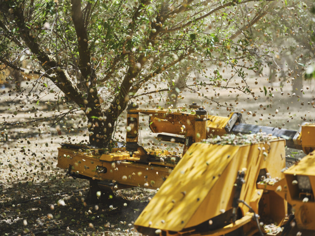 almond harvesting machine