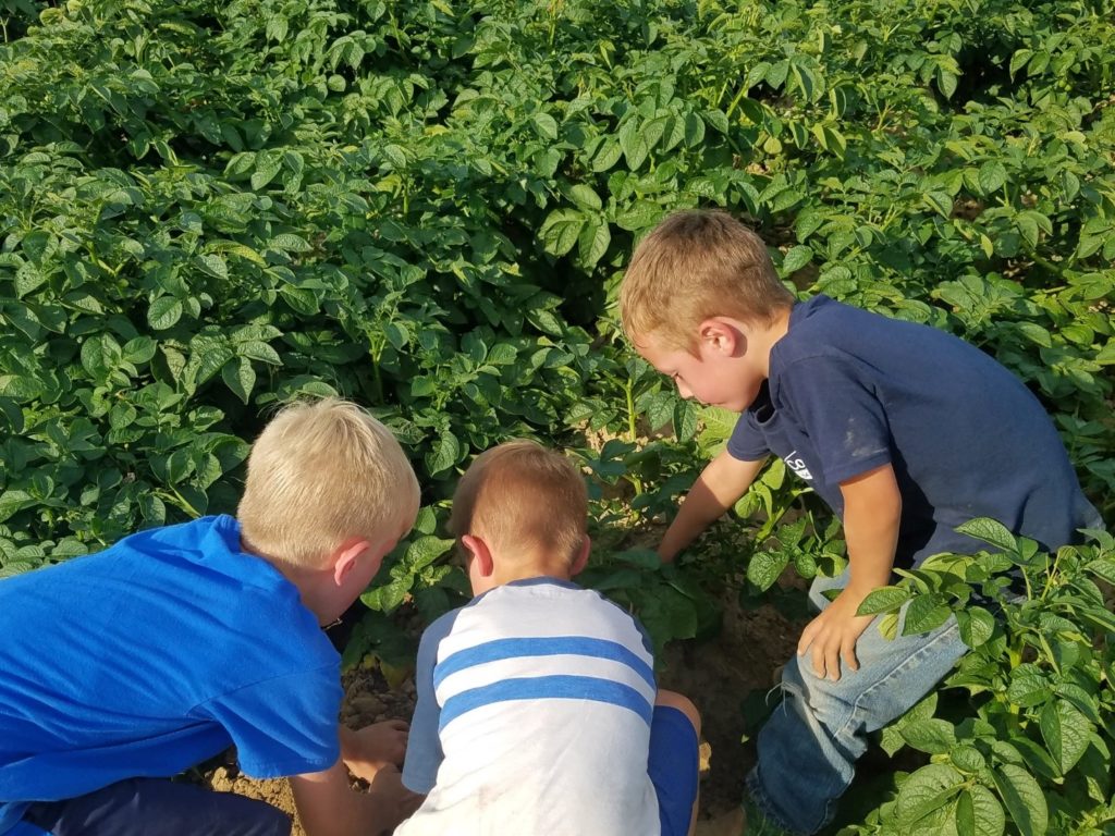 john coombs farm family